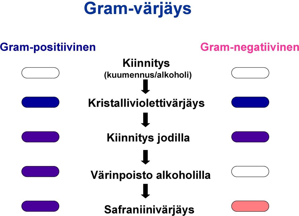 Kristalliviolettivärjäys Kiinnitys