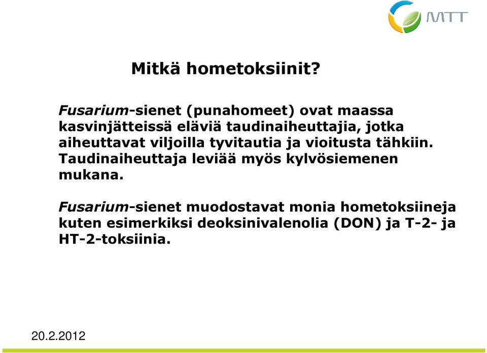 jotka aiheuttavat viljoilla tyvitautia ja vioitusta tähkiin.