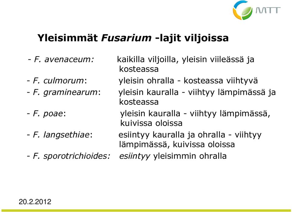 culmorum: yleisin ohralla - kosteassa viihtyvä - F.