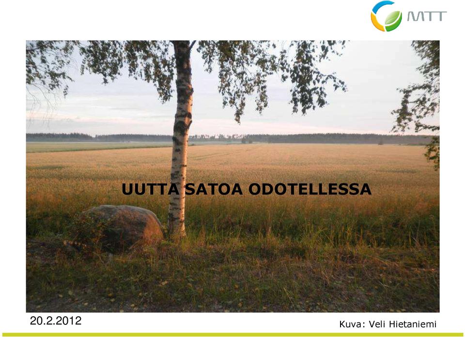 Kuva: Veli