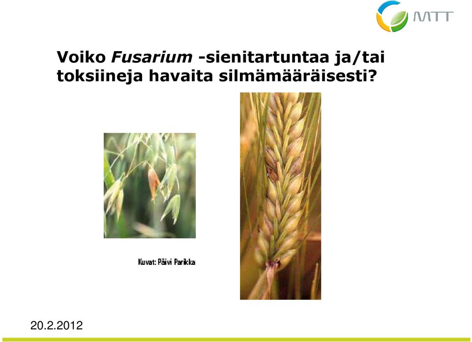 ja/tai toksiineja