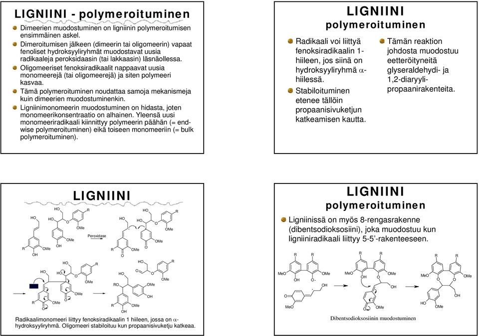 muodostuminenkin Ligniinimonomeerin muodostuminen on hidasta, joten monomeerikonsentraatio on alhainen Yleensä uusi monomeeriradikaali kiinnittyy polymeerin päähän (= endwise polymeroituminen) eikä