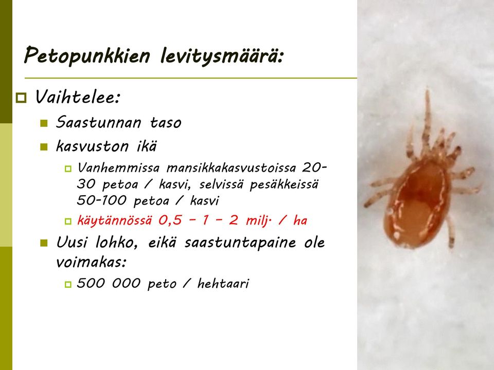 selvissä pesäkkeissä 50-100 petoa / kasvi käytännössä 0,5 1 2