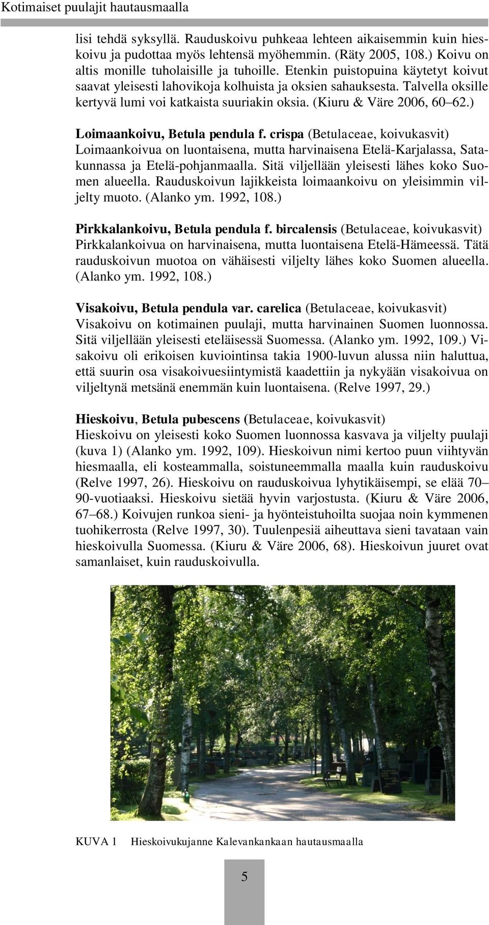 ) Loimaankoivu, Betula pendula f. crispa (Betulaceae, koivukasvit) Loimaankoivua on luontaisena, mutta harvinaisena Etelä-Karjalassa, Satakunnassa ja Etelä-pohjanmaalla.