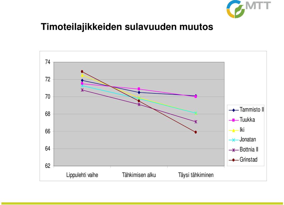 Tähkimisen alku Täysi tähkiminen