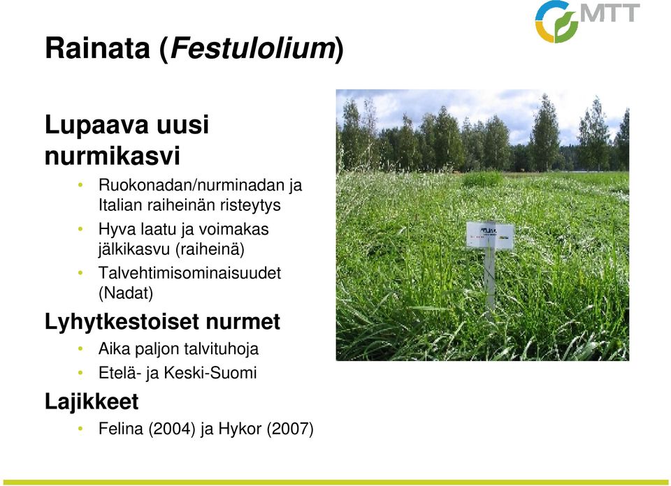 (raiheinä) Talvehtimisominaisuudet (Nadat) Lyhytkestoiset nurmet Aika