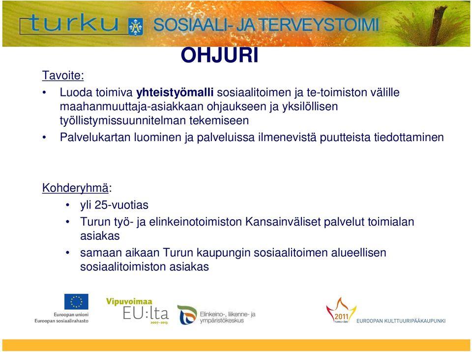 luominen ja palveluissa ilmenevistä puutteista tiedottaminen Kohderyhmä: yli 25-vuotias Turun työ- ja