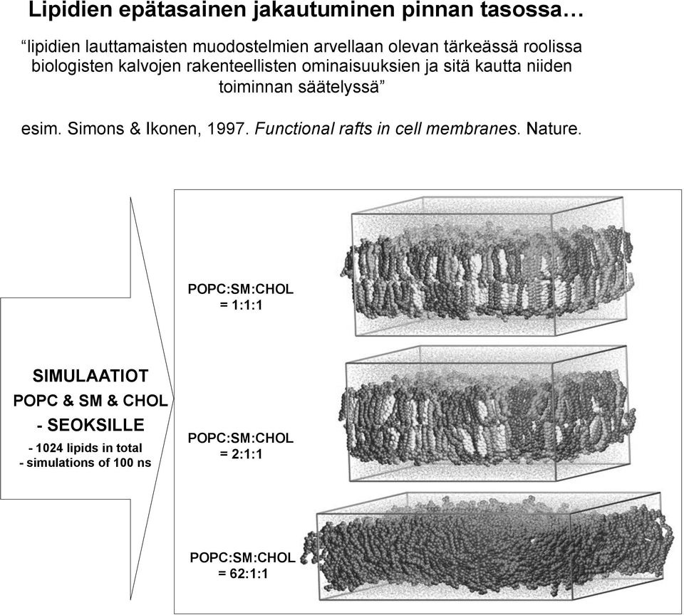 säätelyssä esim. Simons & Ikonen, 1997. Functional rafts in cell membranes. Nature.