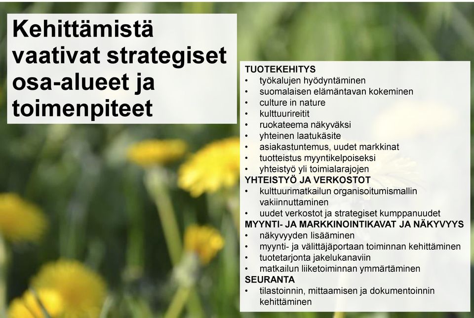 kulttuurimatkailun organisoitumismallin vakiinnuttaminen uudet verkostot ja strategiset kumppanuudet MYYNTI- JA MARKKINOINTIKAVAT JA NÄKYVYYS näkyvyyden lisääminen