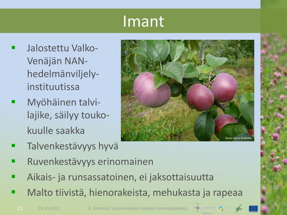 hyvä Ruvenkestävyys erinomainen Aikais- ja runsassatoinen, ei