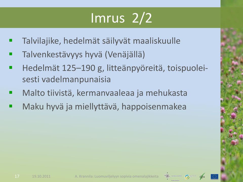 litteänpyöreitä, toispuoleisesti vadelmanpunaisia Malto