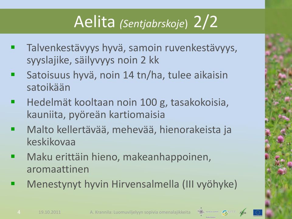 tasakokoisia, kauniita, pyöreän kartiomaisia Malto kellertävää, mehevää, hienorakeista ja