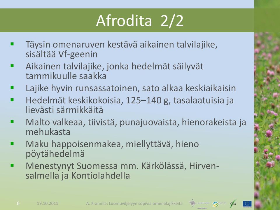 tasalaatuisia ja lievästi särmikkäitä Malto valkeaa, tiivistä, punajuovaista, hienorakeista ja mehukasta Maku