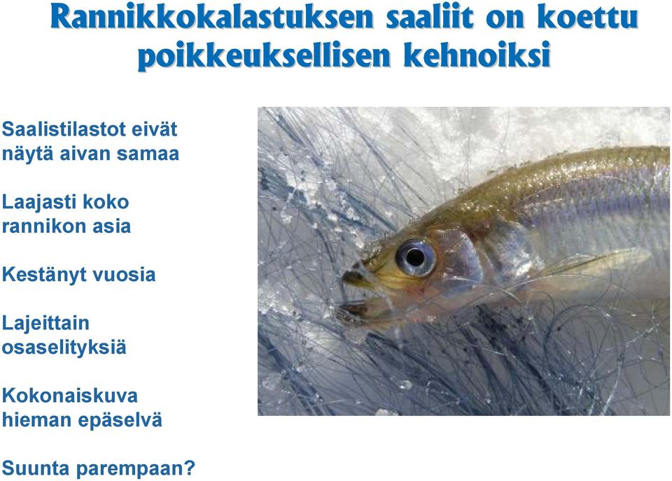 Laajasti koko rannikon asia Kestänyt vuosia Lajeittain