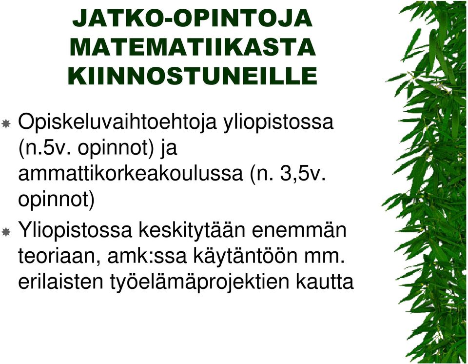 opinnot) ja ammattikorkeakoulussa (n. 3,5v.