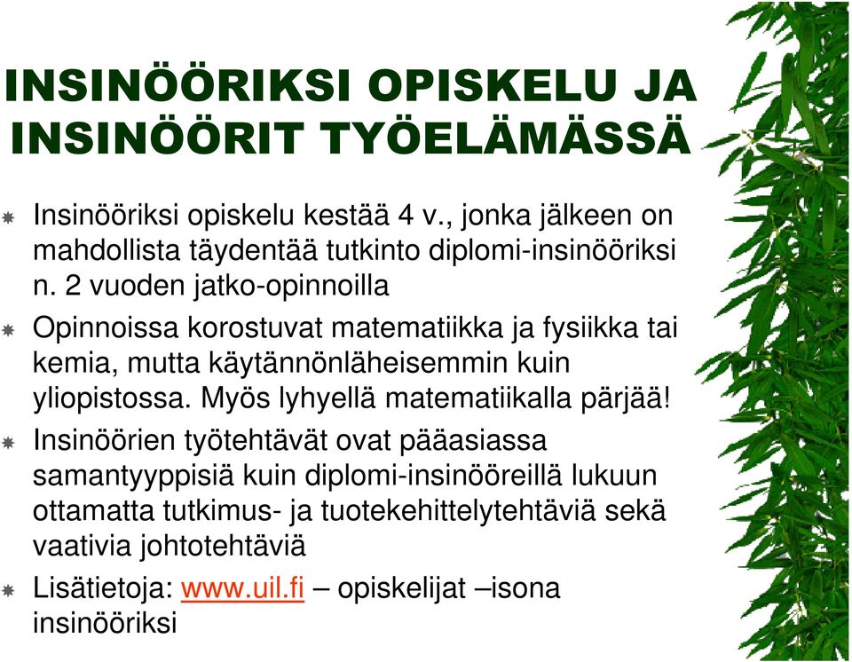 2 vuoden jatko-opinnoilla Opinnoissa korostuvat matematiikka ja fysiikka tai kemia, mutta käytännönläheisemmin kuin yliopistossa.