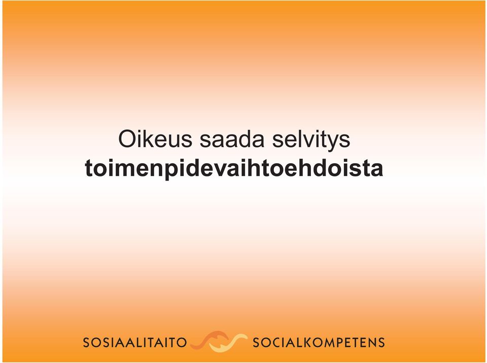 selvitys
