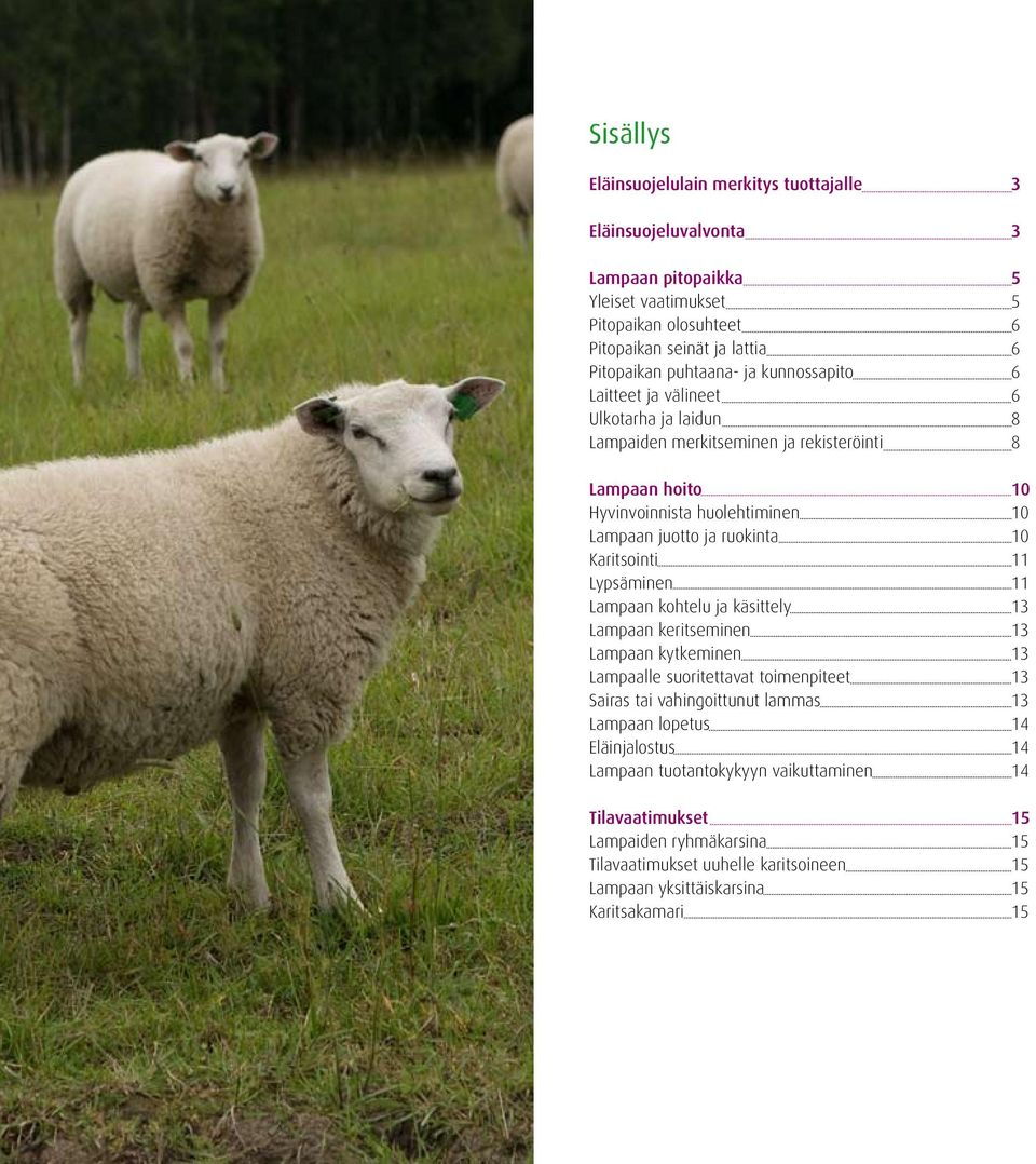 Karitsointi 11 Lypsäminen 11 Lampaan kohtelu ja käsittely 13 Lampaan keritseminen 13 Lampaan kytkeminen 13 Lampaalle suoritettavat toimenpiteet 13 Sairas tai vahingoittunut lammas 13 Lampaan