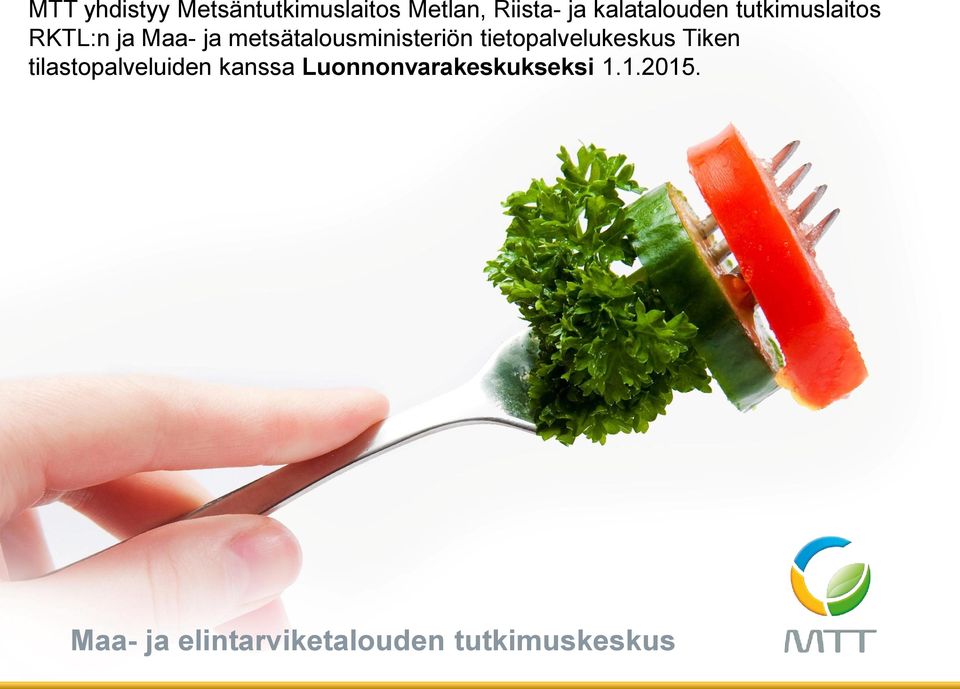 metsätalousministeriön tietopalvelukeskus Tiken