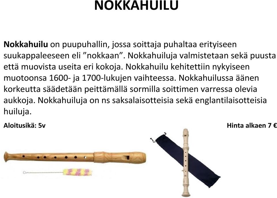 Nokkahuilu kehitettiin nykyiseen muotoonsa 1600-ja 1700-lukujen vaihteessa.