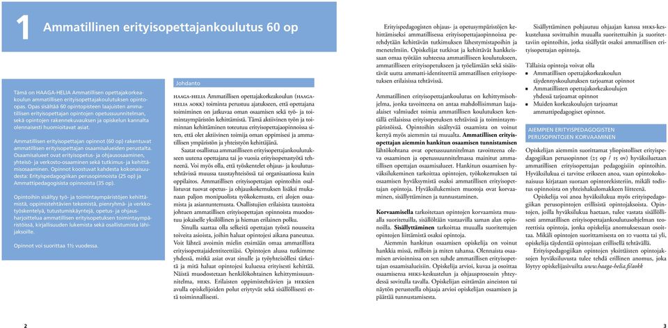 Ammatillisen erityisopettajan opinnot (60 op) rakentuvat ammatillisen erityisopettajan osaamisalueiden perustalta.