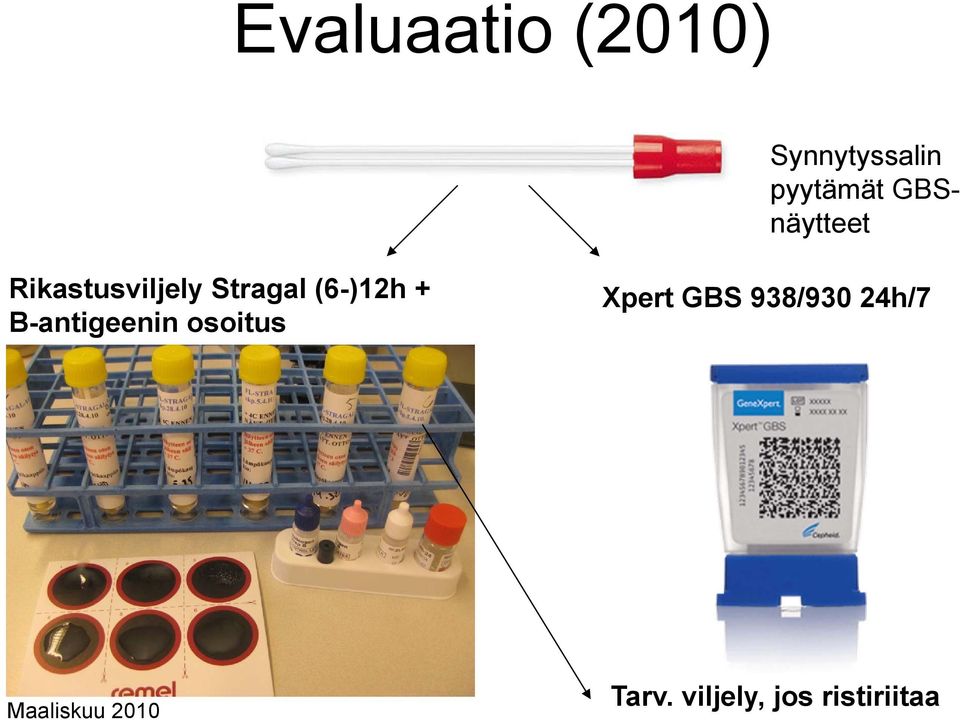 + B-antigeenin osoitus Xpert GBS 938/930