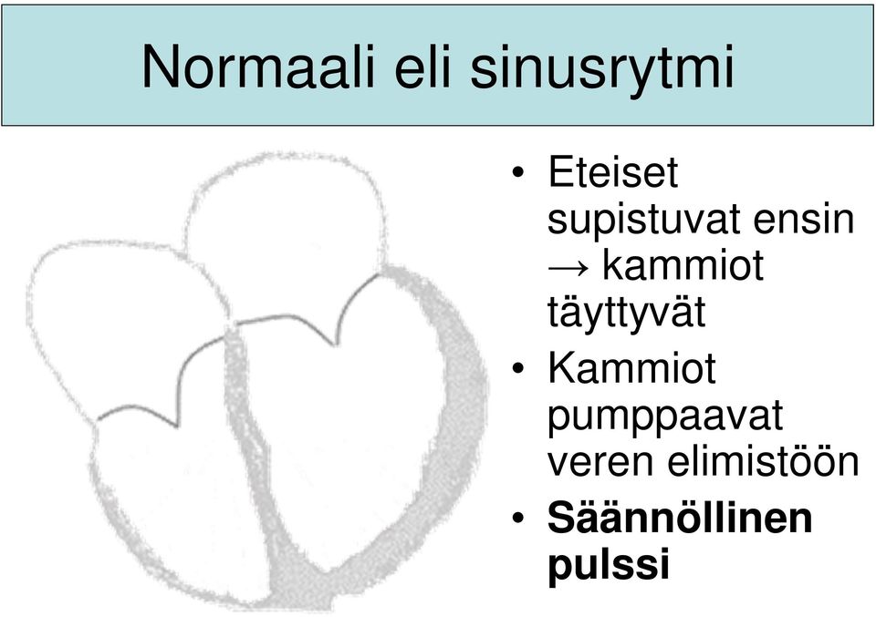 kammiot täyttyvät Kammiot