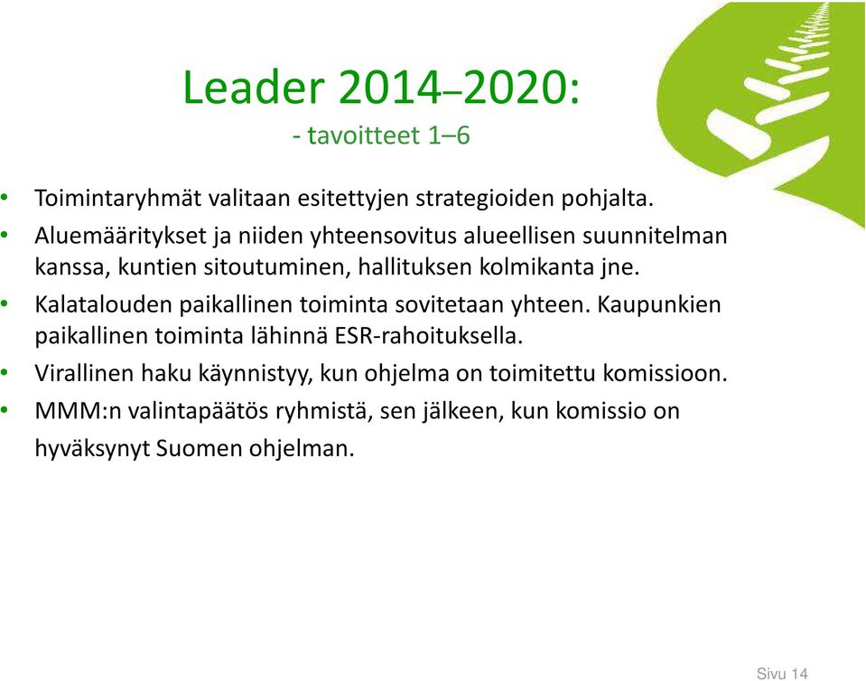 Kalatalouden paikallinen toiminta sovitetaan yhteen. Kaupunkien paikallinen toiminta lähinnä ESR-rahoituksella.