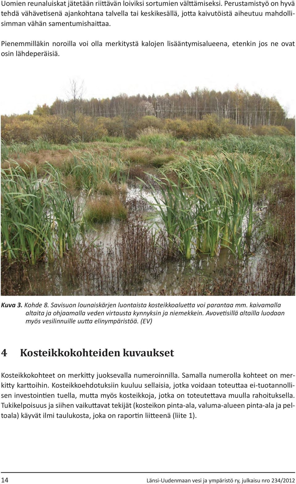 Pienemmilläkin noroilla voi olla merkitystä kalojen lisääntymisalueena, etenkin jos ne ovat osin lähdeperäisiä. Kuva 3. Kohde 8. Savisuon lounaiskärjen luontaista kosteikkoaluetta voi parantaa mm.