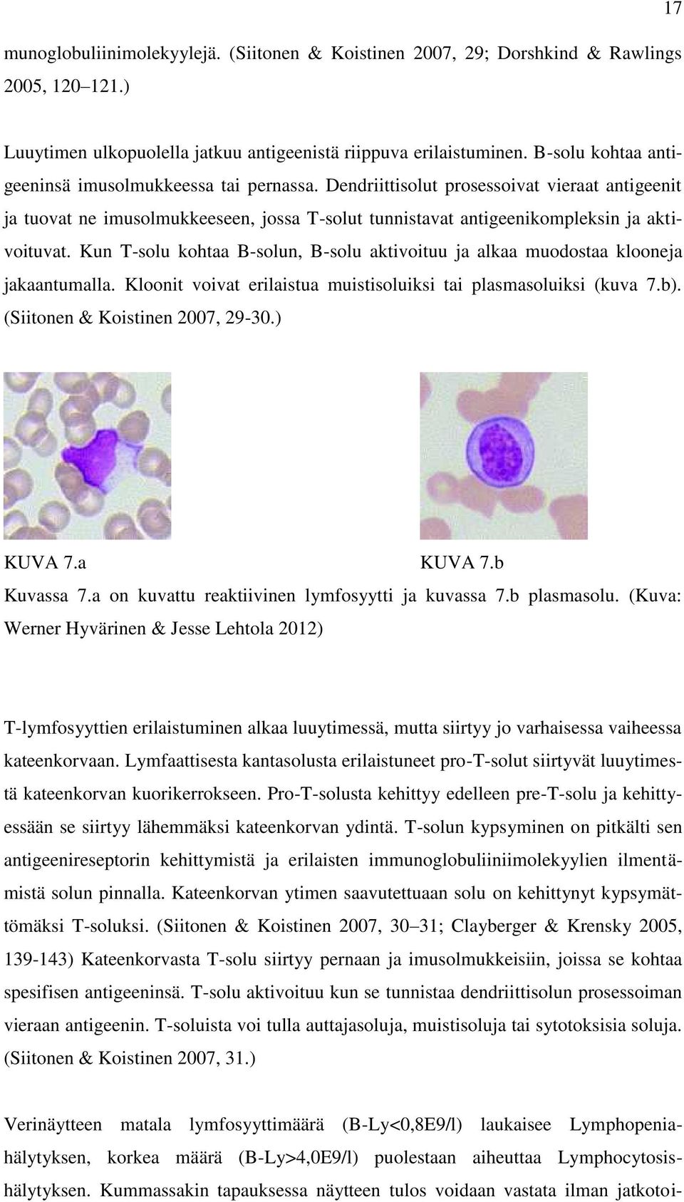 Kun T-solu kohtaa B-solun, B-solu aktivoituu ja alkaa muodostaa klooneja jakaantumalla. Kloonit voivat erilaistua muistisoluiksi tai plasmasoluiksi (kuva 7.b). (Siitonen & Koistinen 2007, 29-30.