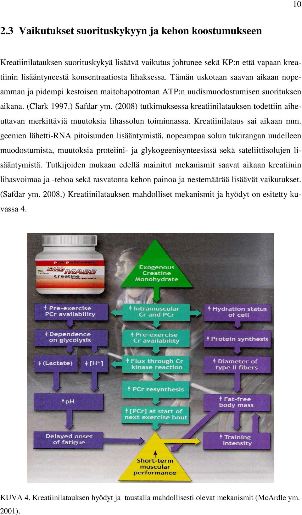 (2008) tutkimuksessa kreatiinilatauksen todettiin aiheuttavan merkittäviä muutoksia lihassolun toiminnassa. Kreatiinilataus sai aikaan mm.