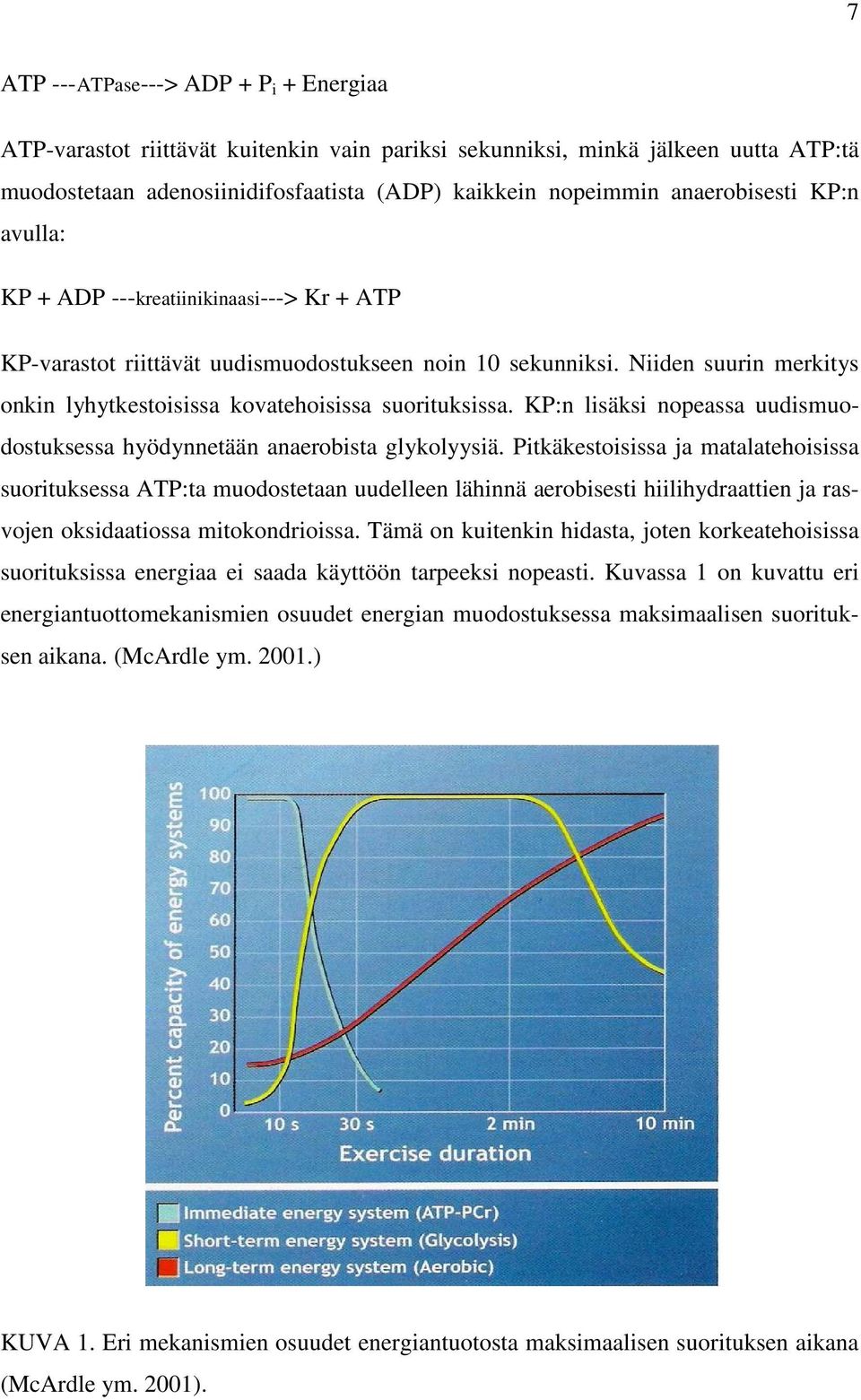 Niiden suurin merkitys onkin lyhytkestoisissa kovatehoisissa suorituksissa. KP:n lisäksi nopeassa uudismuodostuksessa hyödynnetään anaerobista glykolyysiä.