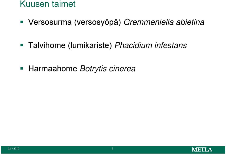 Talvihome (lumikariste) Phacidium