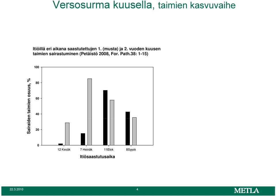 vuoden kuusen taimien sairastuminen (Petäistö 2008, For. Path.