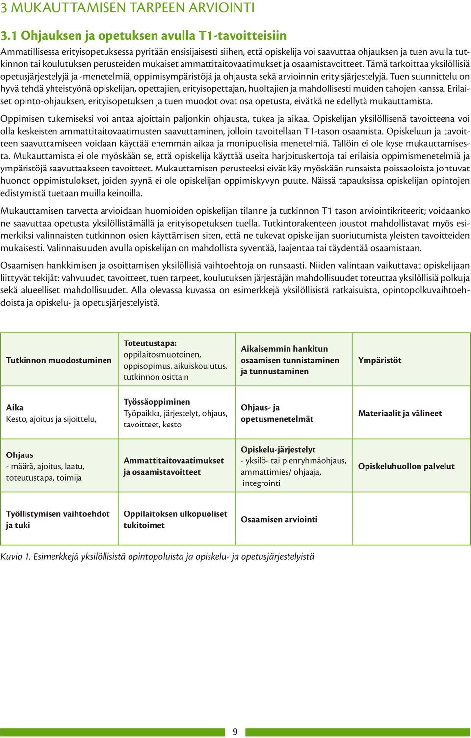 perusteiden mukaiset ammattitaitovaatimukset ja osaamistavoitteet. Tämä tarkoittaa yksilöllisiä opetusjärjestelyjä ja -menetelmiä, oppimisympäristöjä ja ohjausta sekä arvioinnin erityisjärjestelyjä.