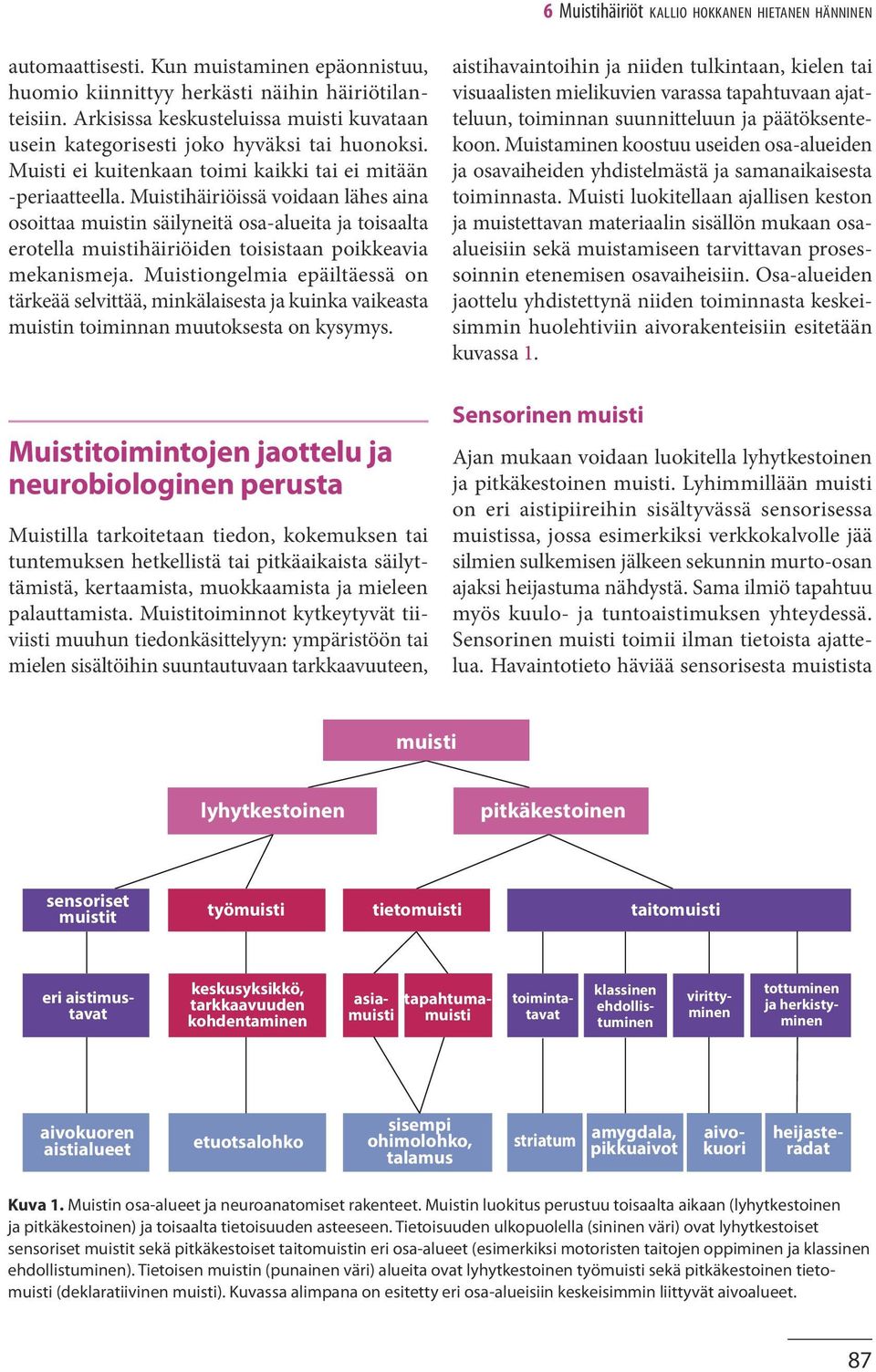 Muistihäiriöissä voidaan lähes aina osoittaa muistin säilyneitä osa-alueita ja toisaalta erotella muistihäiriöiden toisistaan poikkeavia mekanismeja.