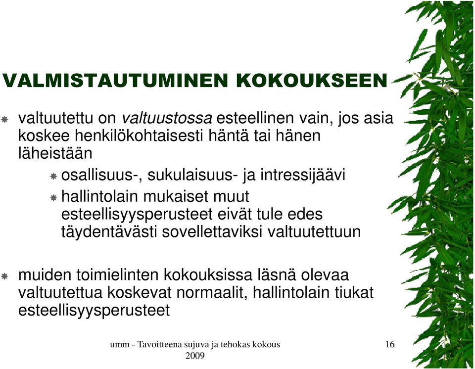 mukaiset muut esteellisyysperusteet eivät tule edes täydentävästi sovellettaviksi valtuutettuun muiden