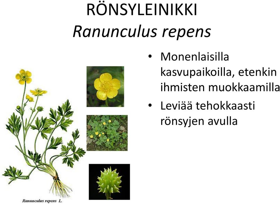 etenkin ihmisten muokkaamilla