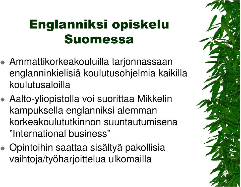 suorittaa Mikkelin kampuksella englanniksi alemman korkeakoulututkinnon