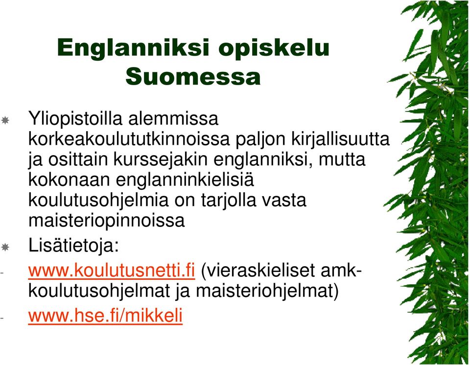 koulutusohjelmia on tarjolla vasta maisteriopinnoissa Lisätietoja: - www.