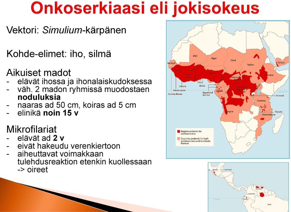 2 madon ryhmissä muodostaen noduluksia - naaras ad 50 cm, koiras ad 5 cm - elinikä