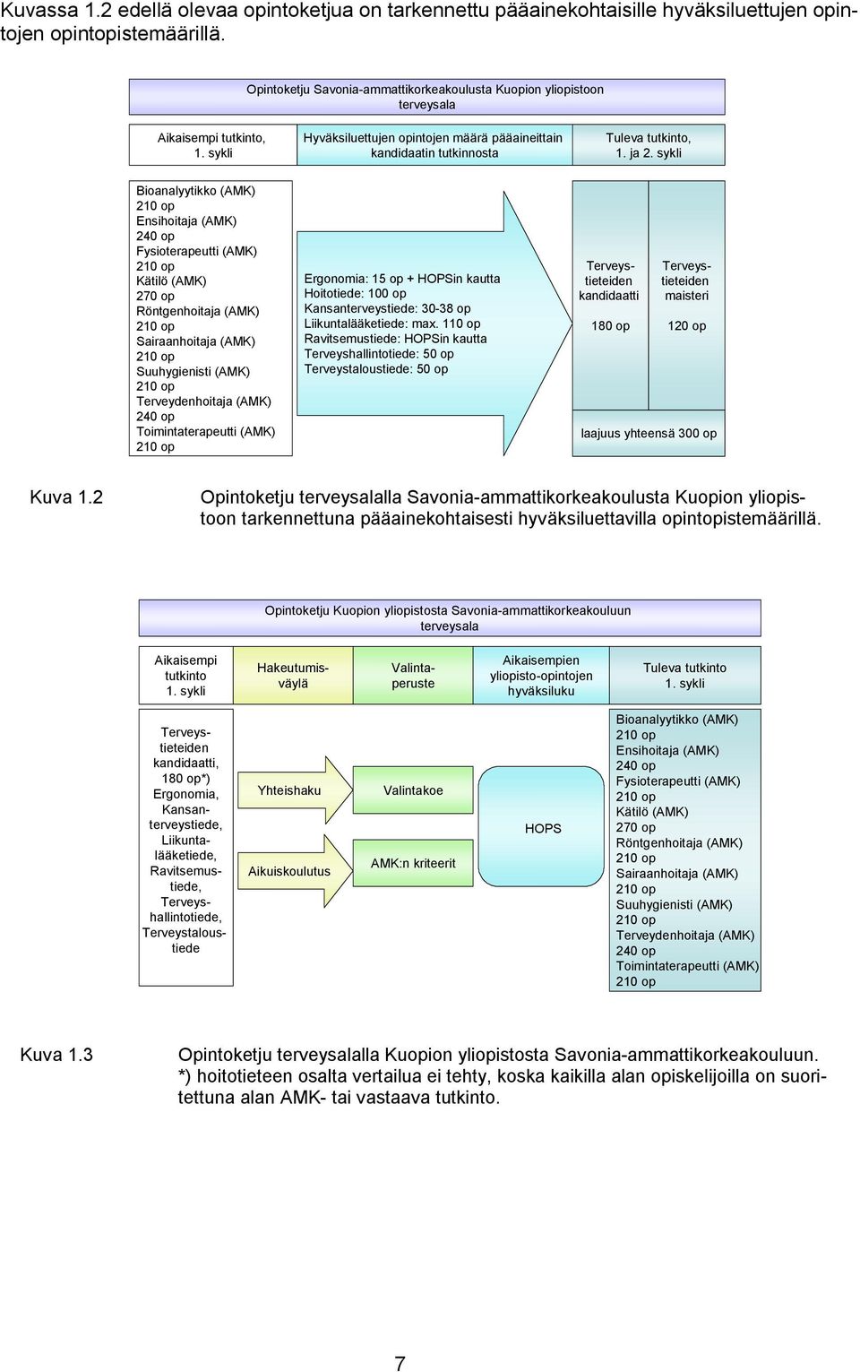 sykli Bioanalyytikko (AMK) Ensihoitaja (AMK) Fysioterapeutti (AMK) Kätilö (AMK) 270 op Röntgenhoitaja (AMK) Sairaanhoitaja (AMK) Suuhygienisti (AMK) Terveydenhoitaja (AMK) Toimintaterapeutti (AMK)