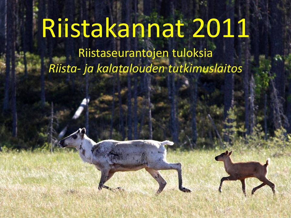 tuloksia Riista- ja