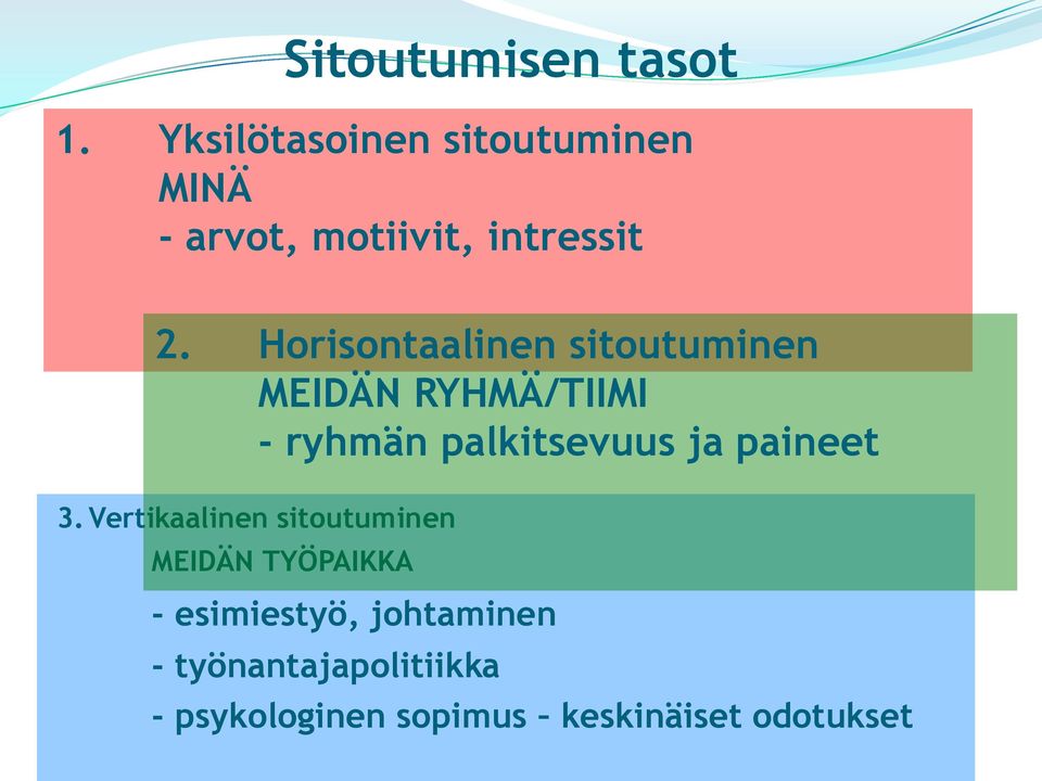 Horisontaalinen sitoutuminen MEIDÄN RYHMÄ/TIIMI - ryhmän palkitsevuus ja paineet 3.