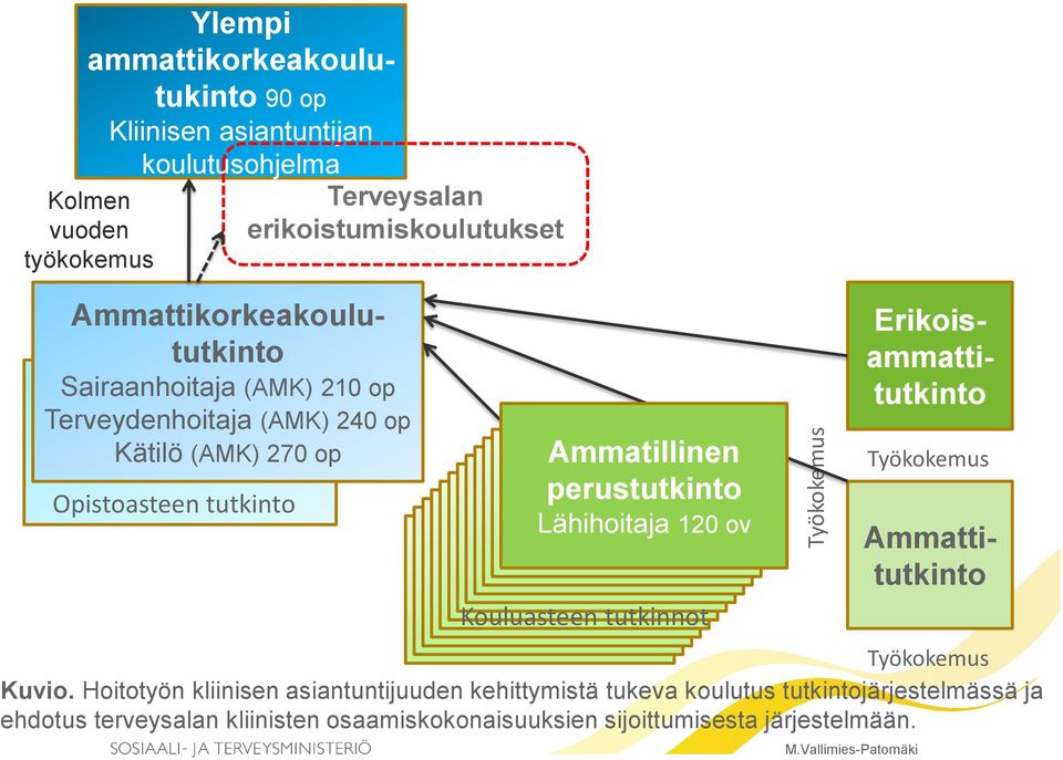 erikoistumiskoulutukset Ammatillinen perustutkinto Lähihoitaja 120 ov Kouluasteen tutkinnot Työkokemus Ammattitutkinto Työkokemus Kuvio.