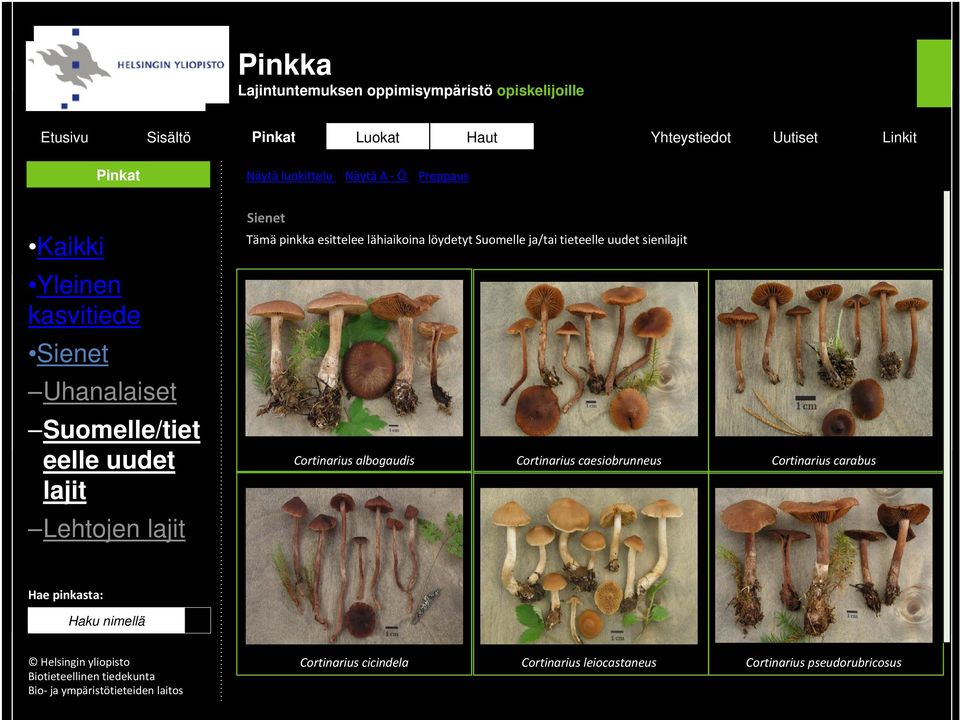 lajit Tämä pinkka esittelee lähiaikoina löydetyt Suomelle ja/tai tieteelle uudet sienilajit Cortinarius albogaudis Cortinarius caesiobrunneus Cortinarius carabus Hae