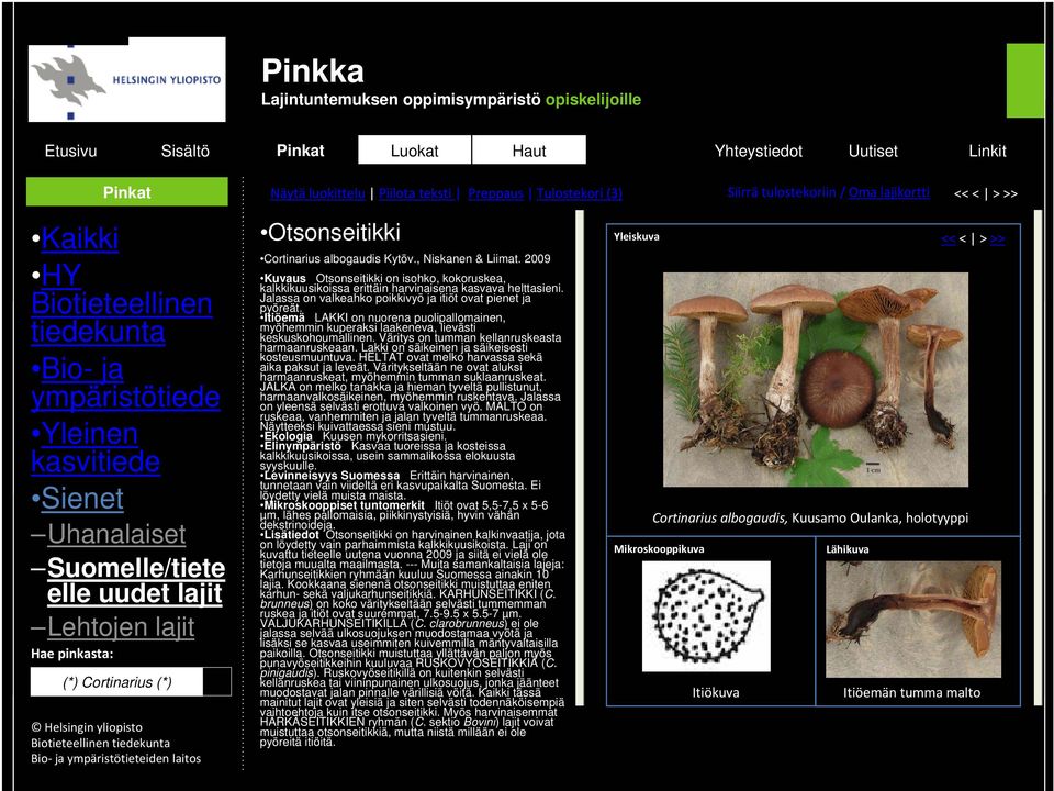 Suomelle/tiete elle uudet lajit Lehtojen lajit Hae pinkasta: (*) Cortinarius (*) Helsingin yliopisto Biotieteellinen tiedekunta Bio ja ympäristötieteiden laitos?