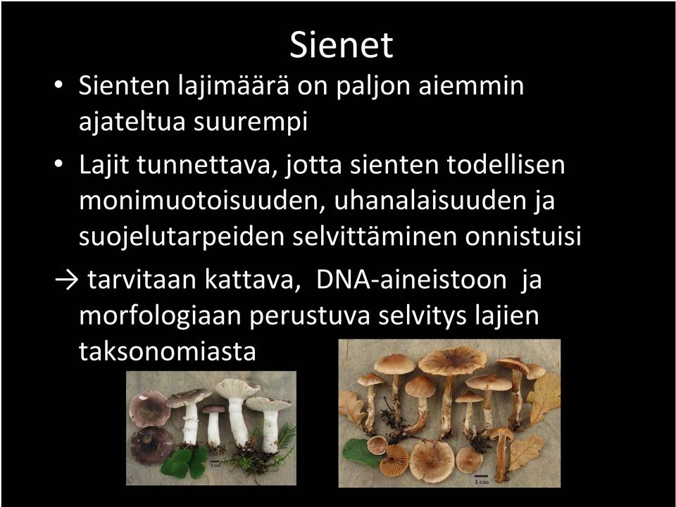 uhanalaisuuden ja suojelutarpeiden selvittäminen onnistuisi