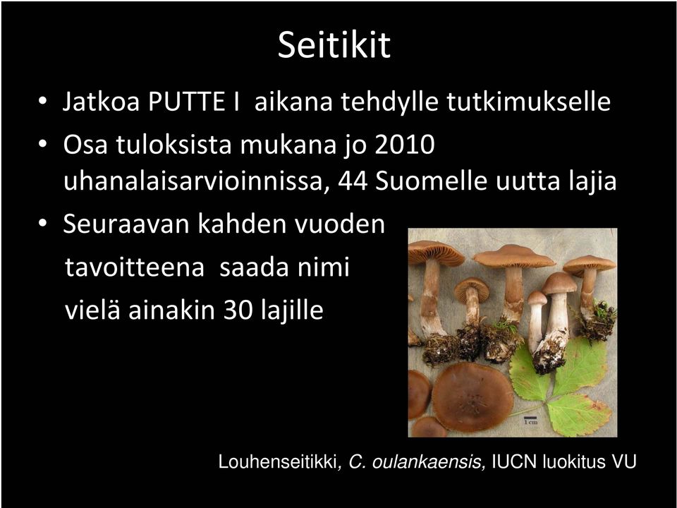 uutta lajia Seuraavan kahden vuoden tavoitteena saada nimi