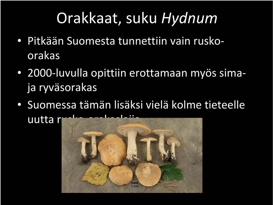opittiin erottamaan myös simaja ryväsorakas